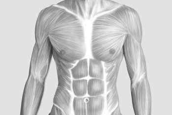 STOTT PILATES® Anatomy and Exercise Fundamentals for Movement Professionals Course